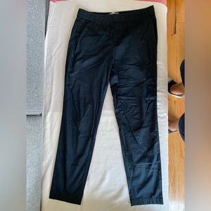 Everlane Navy blue performance pants.